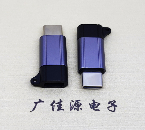 樟木头镇Type-C母转Type-C公 USB3.1 PD100W快冲接口